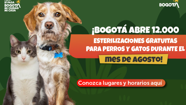 Bogotá celebra su cumpleaños con más 12.000 cupos gratuitos de esterilización para perros y gatos